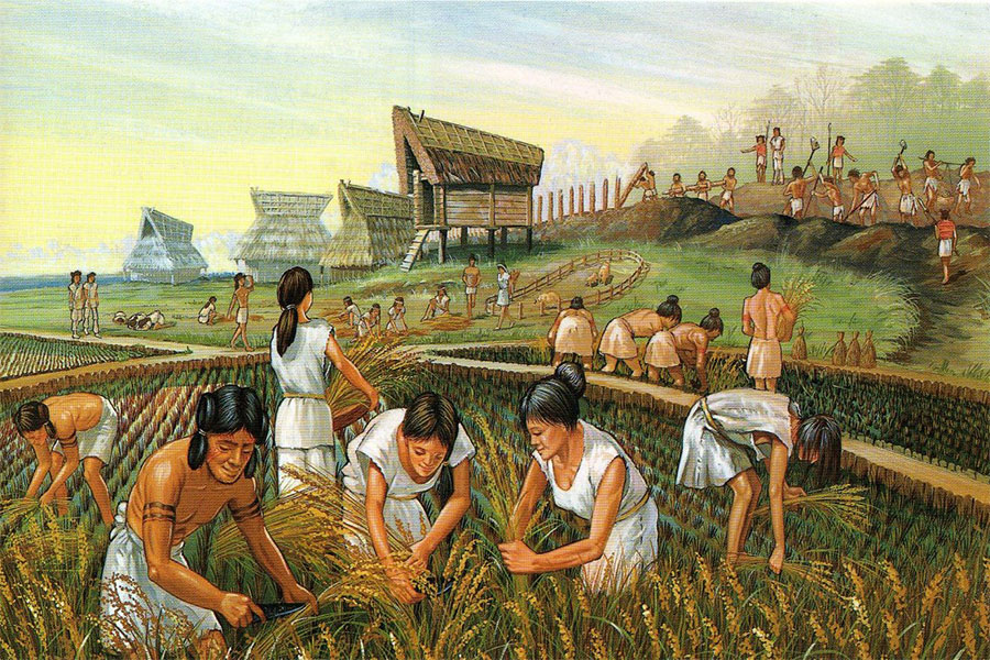 Çağdaş Uygarlaşmanın başlangıcı, Sümerlerde sosyal yaşantı ve tarım