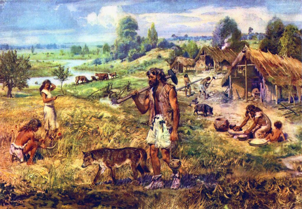 Neolitik Çağ - Tarımın Gelişmesi ve Hayvanların Evcilleştirilmesi